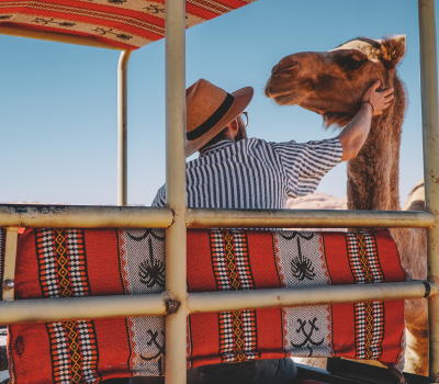 Wadi Rum One Day One Night Jeep Tour Camel Ride