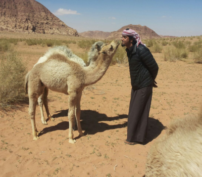 wadi rum 1 Day 1 Night Jeep Tour 2 Hour Camel Ride