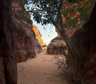 Wadi Rum 1 Day 1 Night Jeep Tour Burdah Bridge Hiking