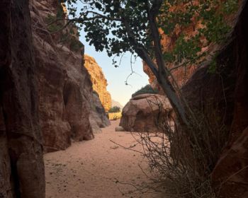 Jeep tour in Wadi Rum desert with travelers exploring red sand dunes and mountains