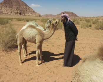 Wadi Rum jeep tour 1 day 1 night adventure