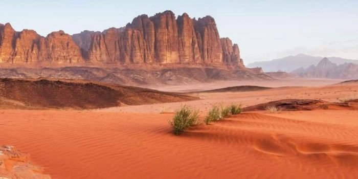 Wadi Rum Guide