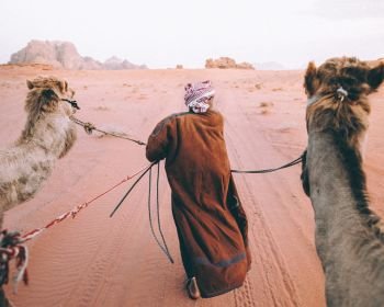 Camel Aventure Wadi Rum