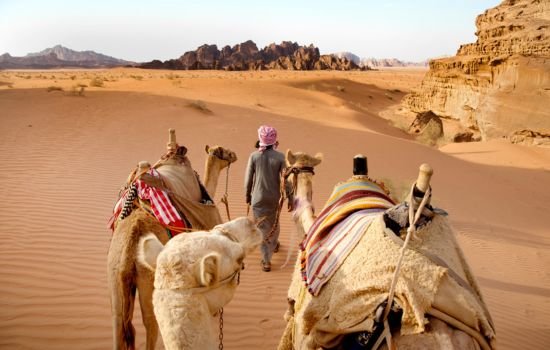 Wadi Rum Jeep, camel, Hiking Tours Bedouin Desert Camp