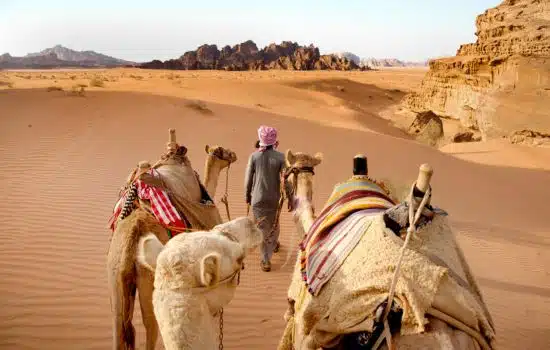Wadi Rum Jeep, camel, Hiking Tours Bedouin Desert Camp