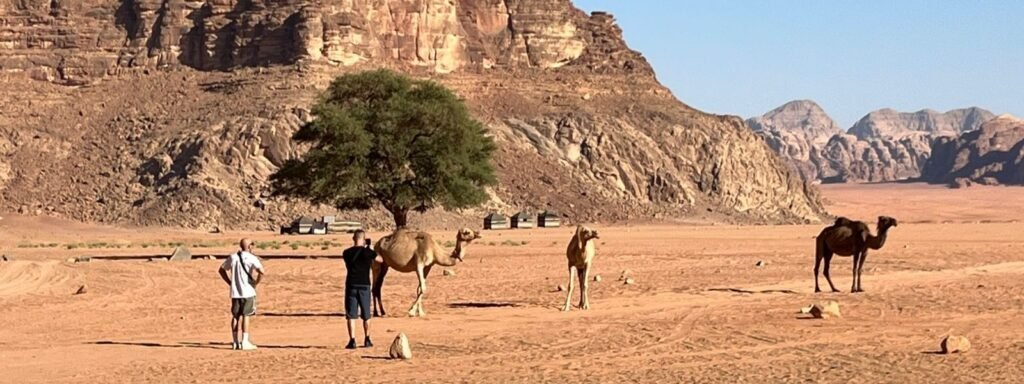 Travel to Wadi Rum